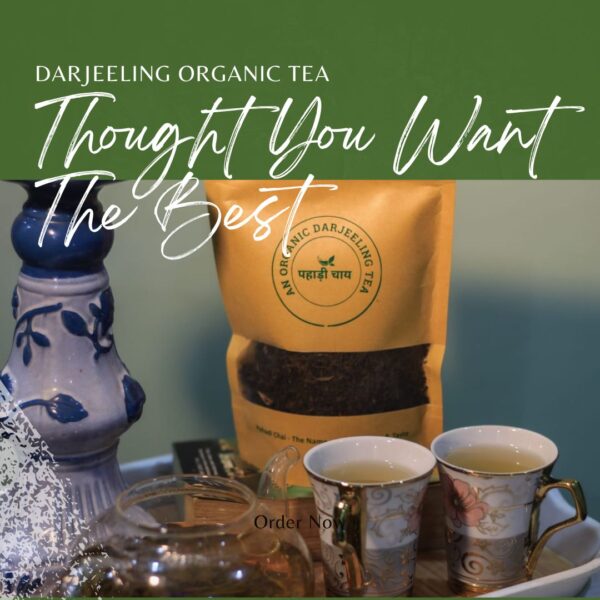 First Flush Darjeeling Tea