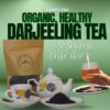 Second Flush Darjeeling Tea