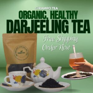 Second Flush Darjeeling Tea