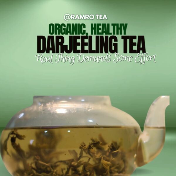 Darjeeling Green Tea