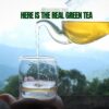 Darjeeling Green Tea