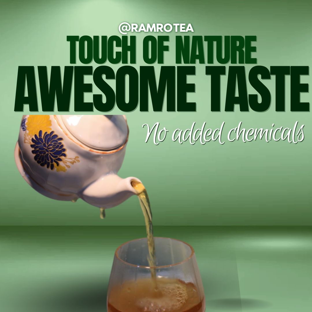 Second Flush Darjeeling Tea » back2nature.in Second Flush Darjeeling Tea » back2nature.in