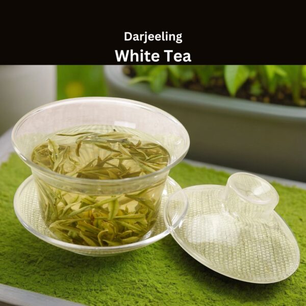 Darjeeling White Tea